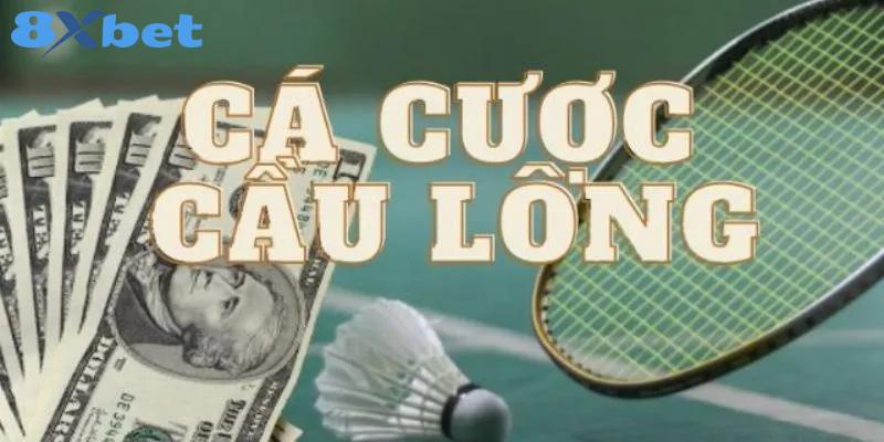 Tìm hiểu thông tin về hình thức cá cược cầu lông