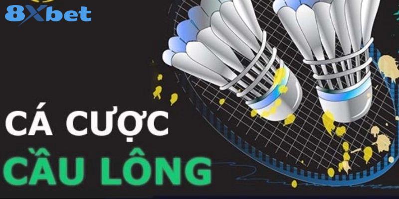 Tỷ lệ kèo phổ biến khi đặt cược cầu lông