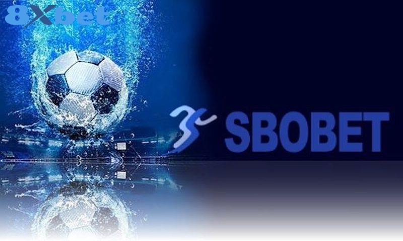 Sơ lược về đơn vị cá cược Sbobet 8xbet